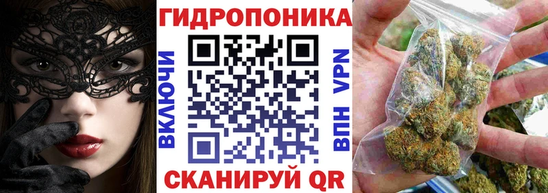 Хочу наркоту Ладушкин Гашиш  Галлюциногенные грибы  КОКАИН  Меф  Каннабис 