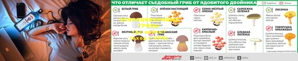 гидра Алексин