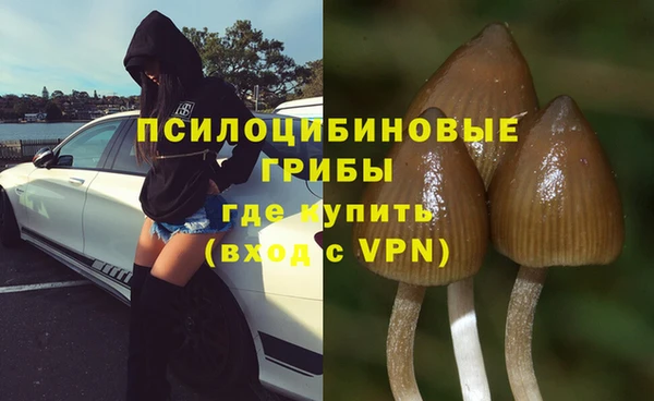 гидра Алексин