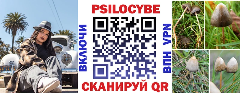 Галлюциногенные грибы ЛСД купить наркотик Ладушкин